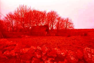 Valentine's day at Irland