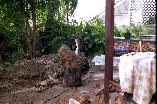 stonewalls in a rough nature