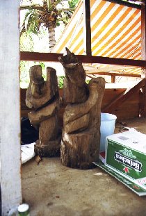 irish moos in nature