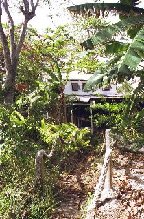 Chemin vers la maison