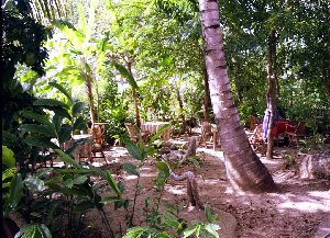 stonewalls in a rough nature