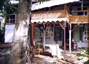 stonewalls in a rough nature