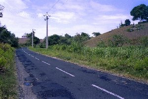 Grande Terre im Landesinneren