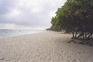 Strand von Autre Bord
