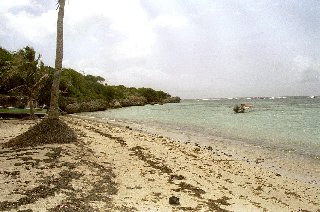 unber�hrter Strand auf der D�sirade