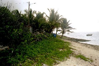 Strand,Palmen und versteckte Fischerh�tte