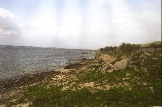 Felsen und karge Flora