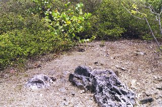 vulkanisches Gestein 