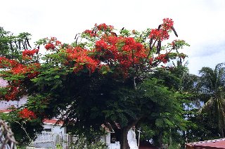 strange light on sea