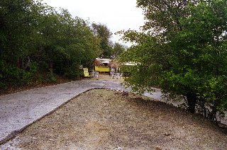 Stones moos and water