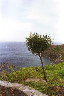 stonewalls in a rough nature