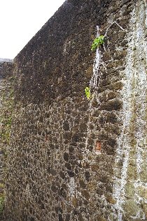 Les Saintes: Burgmauer