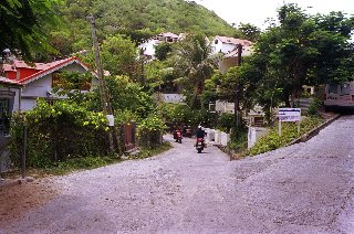 brown grass at spiddal