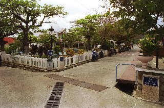 brown grass at spiddal