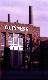 Guinness