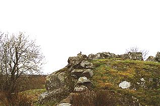 moineau on the rocks