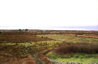 landscape until the sea